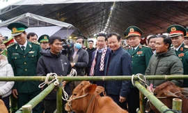 Tập trung nguồn lực đưa A Lưới thoát huyện nghèo quốc gia vào cuối năm 2023