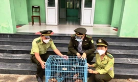 Trung tâm bảo tồn thiên nhiên bị trộm 2 động vật quý hiếm