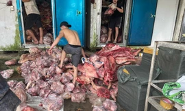Phát hiện 3 tấn thịt lợn đổi màu, bốc mùi tại một kho thực phẩm ở Huế
