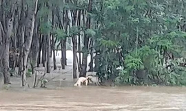 Tìm thấy thi thể người đàn ông sau hơn nửa tháng mất tích ở TT-Huế