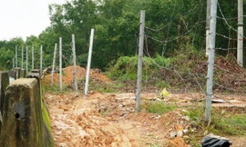 Sắp đưa vào khai thác, tuyến cao tốc La Sơn - Túy Loan bị ‘xé rào’ nhiều nơi