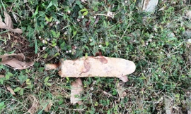 Phát hoảng với vật giống bom giữa khu đô thị mới ở TT-Huế