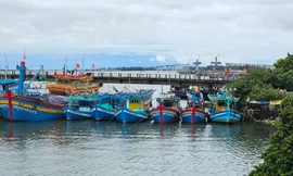 Thừa Thiên-Huế phát lệnh cấm biển, chuẩn bị phương án tiêu úng cứu lúa