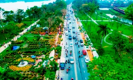 Ngắm xứ Huế khoác ‘áo hoa’ rực rỡ sắc màu ngày Tết