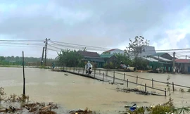 Thừa Thiên-Huế cảnh báo không khí lạnh kèm mưa rất to, gió mạnh trên biển