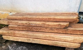 Thu giữ hơn 100 phách gỗ cách hiện trường vụ vận chuyển lâm sản trái phép hàng chục km