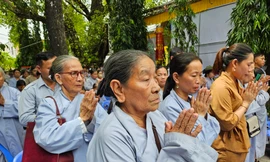 Mỗi ngày ở Việt Nam có 30 người bước ra khỏi nhà và không bao giờ trở về