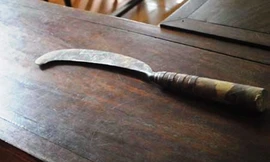 Con trai tâm thần dùng rựa chém mẹ tử vong