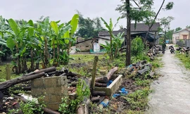 Huế đính chính thông tin lô 'đất làng' giá khởi điểm 45 triệu đồng/m2 gây choáng