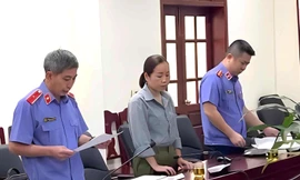 Kế toán Cục Thi hành án dân sự TP Huế tham ô hơn 5,6 tỷ đồng