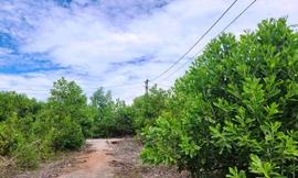 Khu kinh doanh phế liệu bị bỏ hoang sau 5 năm đầu tư tiền tỷ xây dựng