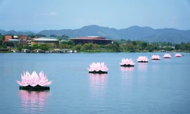 Tuần lễ Phật đản tại Huế: Lan tỏa lòng nhân ái