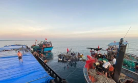 Tàu cá của Huế gặp nạn trên biển