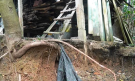 Bờ sông Bồ ở TT-Huế tan nát do mưa lũ, người dân sống trong sợ hãi