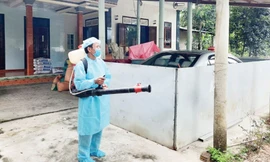 Số ca mắc sốt xuất huyết tại Thừa Thiên-Huế tăng gấp 5 lần