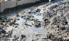 'Tuýt còi’ dự án đổ hàng nghìn m3 bùn thải xuống ao hồ tự nhiên