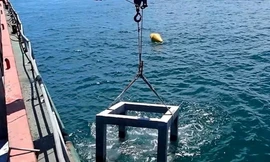 Vì sao Thừa Thiên-Huế xin dừng dự án trồng, phục hồi san hô trên biển trị giá 20 tỷ?