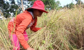 TT-Huế rà soát hộ nghèo, hộ cận nghèo phục vụ công tác giảm nghèo bền vững