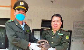 Giải quyết xong vụ cán bộ kiểm lâm bị chậm lương 3 tháng 