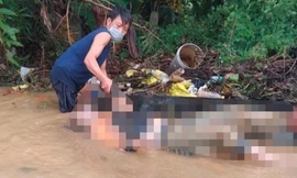 Thêm nạn nhân tử vong do mưa lũ tại TT-Huế