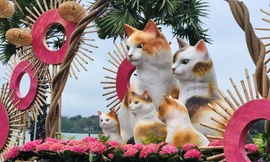 Chiêm ngưỡng hình tượng mèo và muôn màu sắc Xuân từ làng đến phố xứ Huế