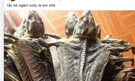 Một vụ rao bán động vật hoang dã trên mạng xã hội bị lực lượng chức năng phát hiện, xử lý. Ảnh: Dân Trí