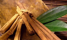 Quế - Vị thuốc trị tiểu đường, ngừa ung thư