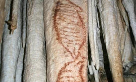 Những bức vẽ cổ xưa nhất của loài người