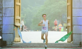 Kỷ lục đường đua được thiết lập tại Trang An Marathon 2024