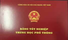 Dùng bằng giả, Phó Bí thư Đảng ủy xã bị cách chức tất cả chức vụ Đảng