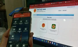 Khuyến cáo về thông tin danh tính với người nộp thuế 