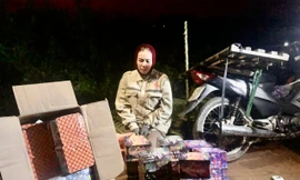 Ngụy trang lá chuối để chở pháo lậu qua biên giới