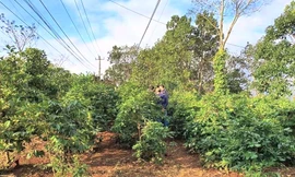 Hai người đàn ông hỗn chiến vì 100.000 đồng khiến người chết, kẻ bị thương