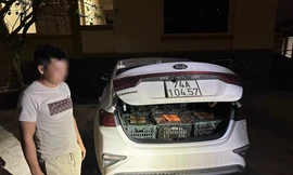 Lật tẩy 'bí mật' trong cốp xe ô tô đậu trước nhà hàng ở thị trấn Gio Linh