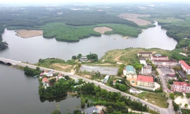 Hủy 3 quy hoạch 'treo' có diện tích hơn 300 ha tại Quảng Trị 