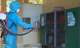 Quảng Trị: Thành lập tổ cơ động dập dịch sốt xuất huyết đang diễn biến phức tạp