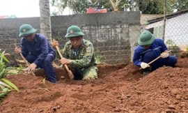 Đào móng làm nhà ở Quảng Trị, người dân phát hiện hài cốt liệt sĩ