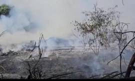 Truy tìm đối tượng gây ra nhiều vụ cháy rừng ở Quảng Trị