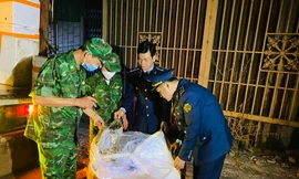 Phát hiện gần 2 tấn nội tạng lợn bốc mùi hôi thối ở thị trấn biên giới