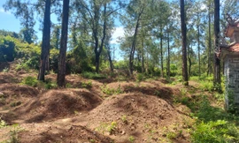 Lập mộ giả để chờ giải tỏa đền bù