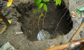 Xuất hiện hố sụt lún tại vườn nhà dân ở Quảng Trị