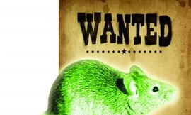 Phóng xạ tạo ra chuột khổng lồ ăn thịt người?