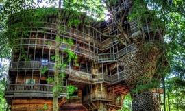 Bên trong ngôi nhà trên cây đồ sộ nhất thế giới trước khi bị thiêu rụi