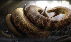 Tại sao động vật tiền sử có kích thước khổng lồ?