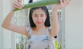 Thủy Tiên trồng nấm, thảo dược trong vườn nhà