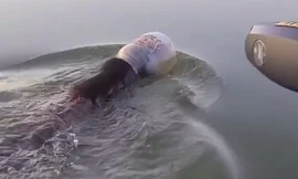 Giải cứu gấu bị mắc kẹt đầu vào bình nhựa