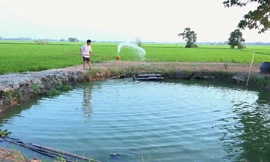 Giếng nước giữa cánh đồng hơn 100 năm không cạn