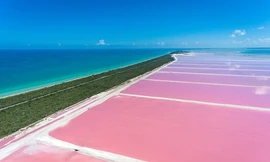 Cụm hồ muối màu hồng đẹp nao lòng người