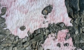 Bí ẩn dòng sông băng có màu hồng tại Italy