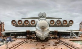 Nga chuyển 'quái vật biển Caspi' đến trưng bày ở công viên